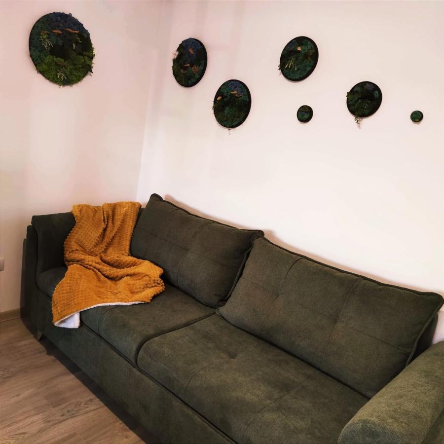 شقة براشوف  في Cozy Studio المظهر الخارجي الصورة