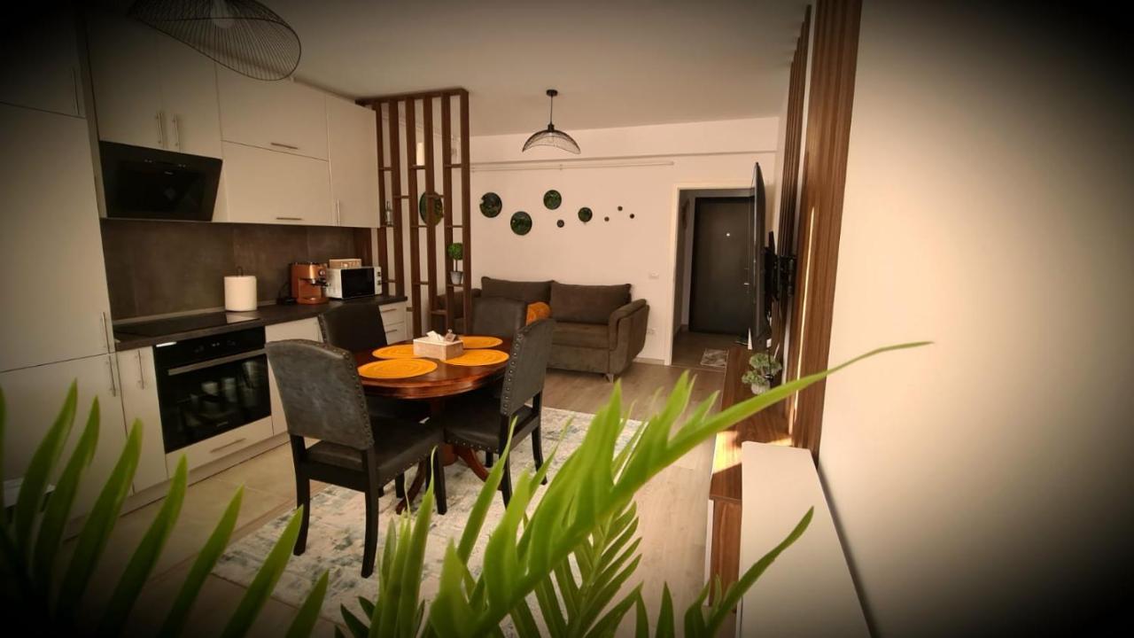 شقة براشوف  في Cozy Studio المظهر الخارجي الصورة