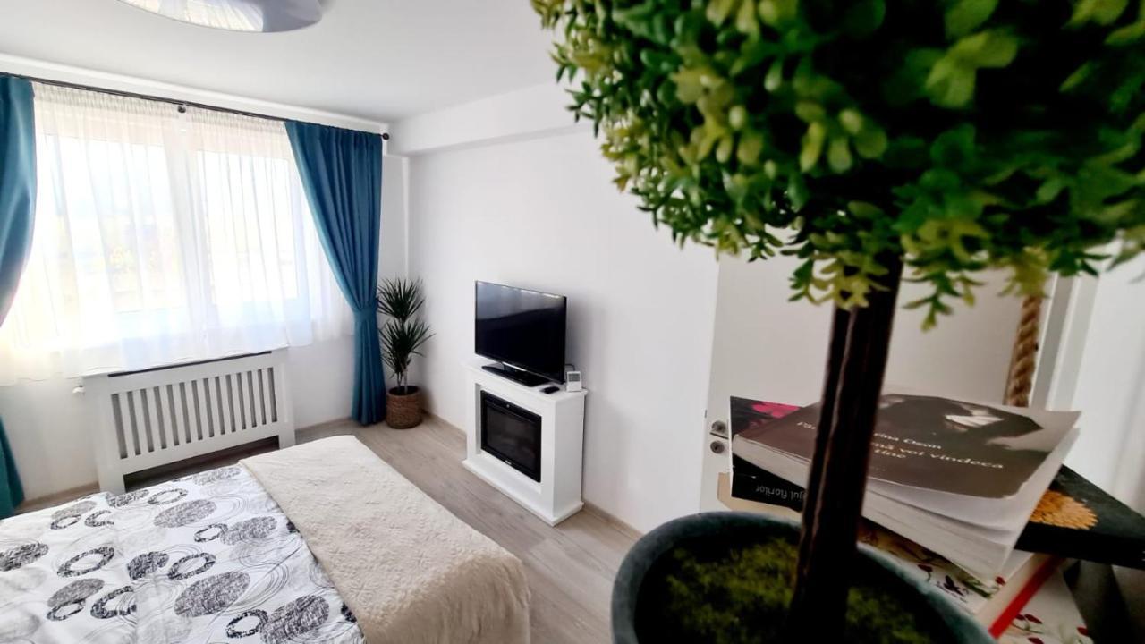 شقة براشوف  في Cozy Studio المظهر الخارجي الصورة