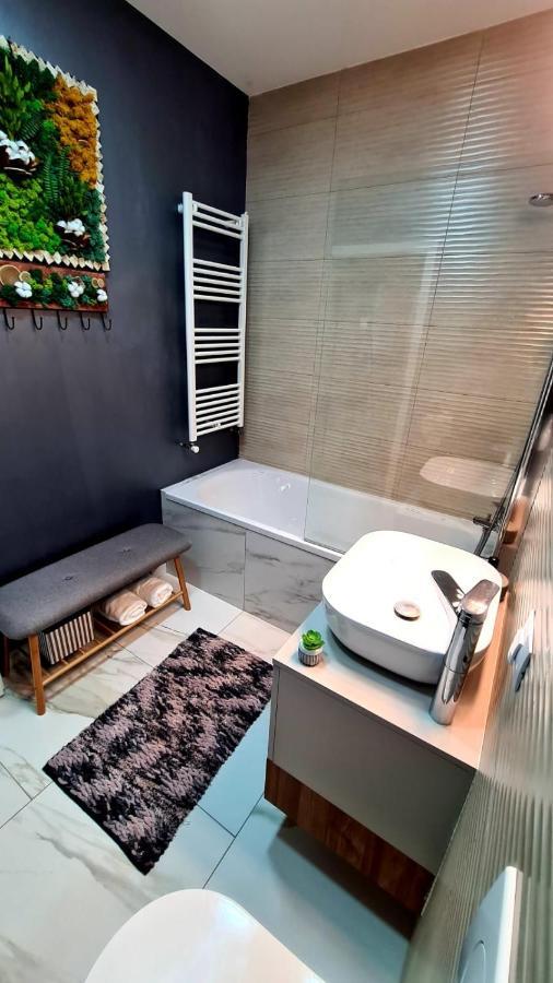 شقة براشوف  في Cozy Studio المظهر الخارجي الصورة